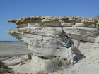 Aeoliian Pleistocene 0verlain by Marine Dhabaiya